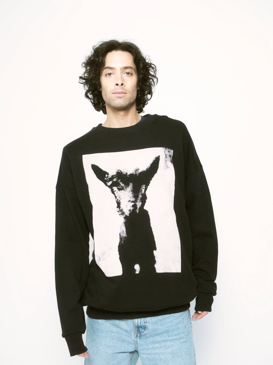 the lamb - sweater - unisex